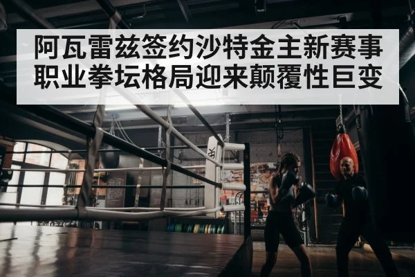 boxer training